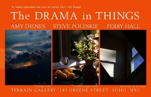 Terrain Gallery Announcement for The Drama in Things