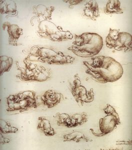 Leonardo-Da-Vinci-cats