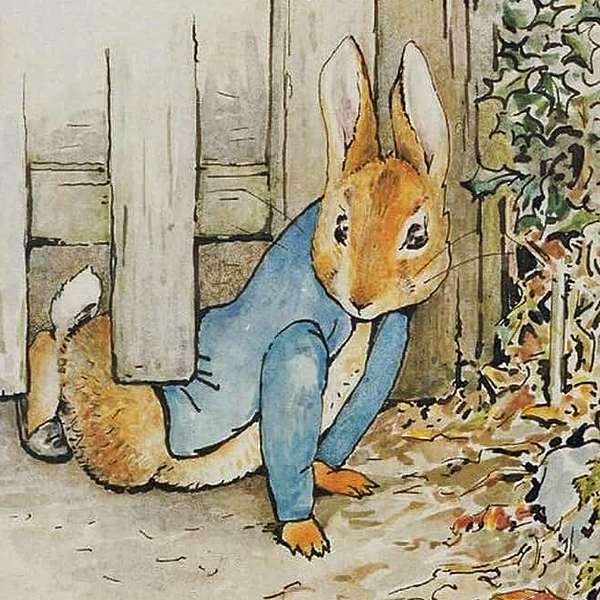 Beathrix Potter, Peter Rabbit going under the fence