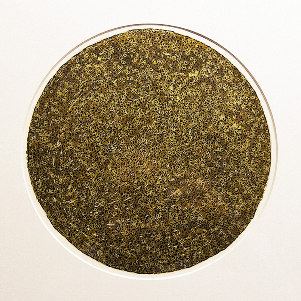 JAMES JUTHSTROM Untitled 4, watercolor pen & metallic ink, 11 in diameter