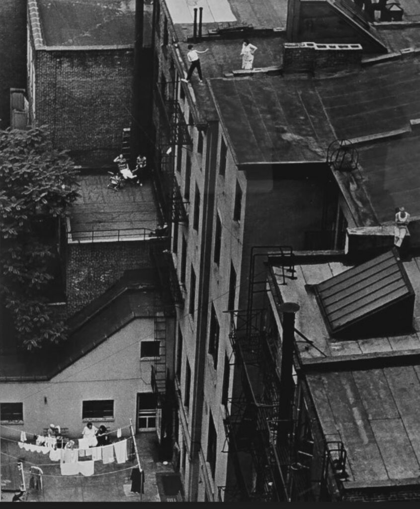 NANCY STARRELS, On the Roof